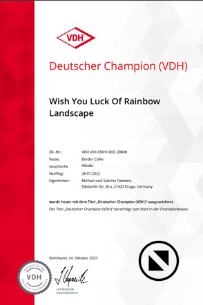 Urkunde mit rotem Rand und VDH-Logo, Text in Schwarz und Rot, enthält Informationen über einen Deutschen Champion-Titel.