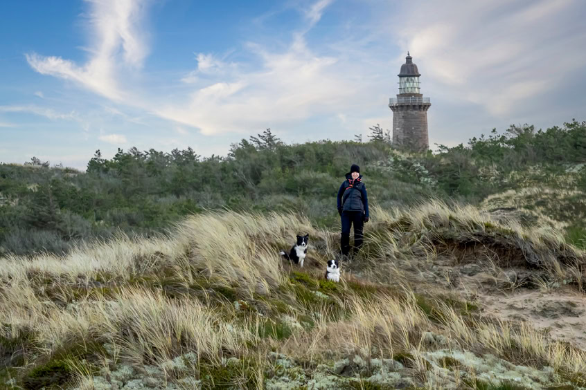 Boder Collies in Dänemark am Leuchturm Lodbjerg