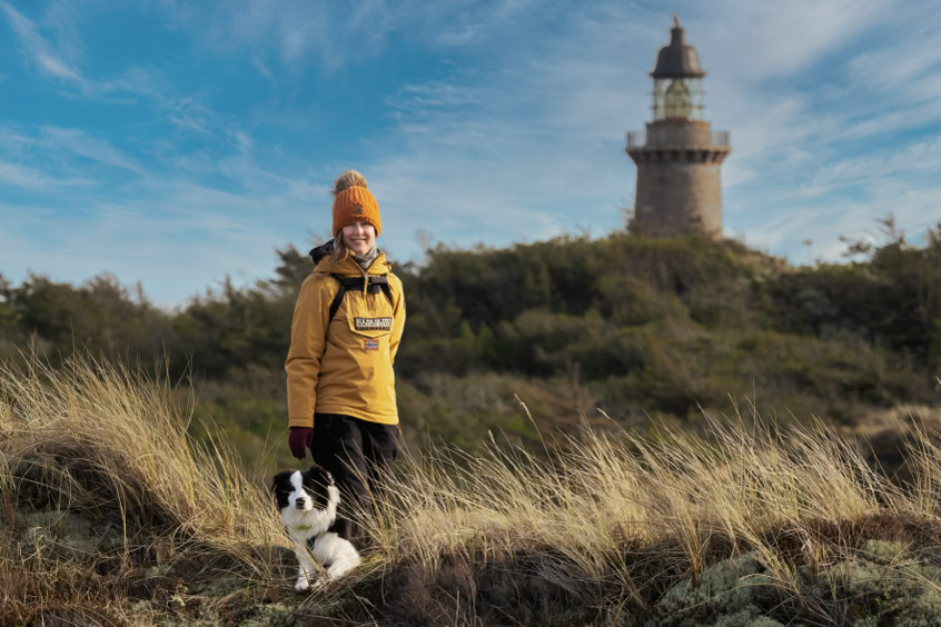 Boder Collie in Dänemark am Leuchturm Lodbjerg