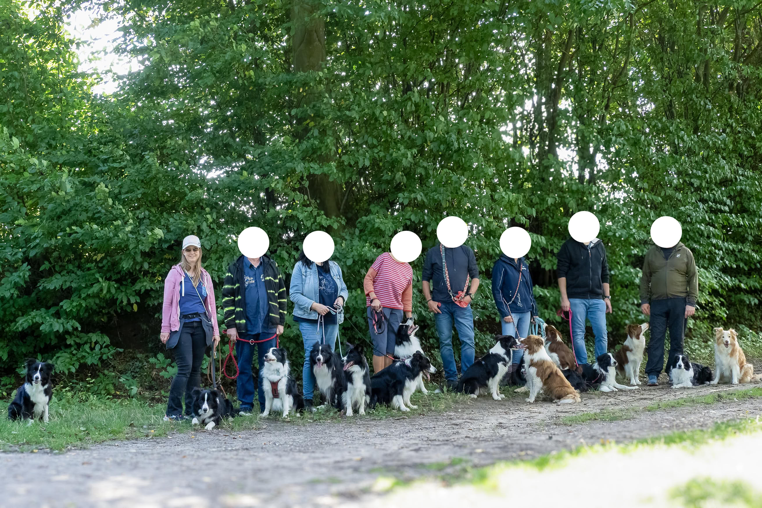Eine Gruppe von Menschen steht mit mehreren Hunden auf einem Weg vor einer grünen Hecke.