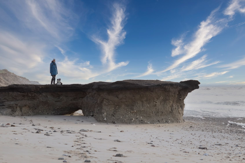 Boder Collies in Dänemark am strand Nationalpark Thy