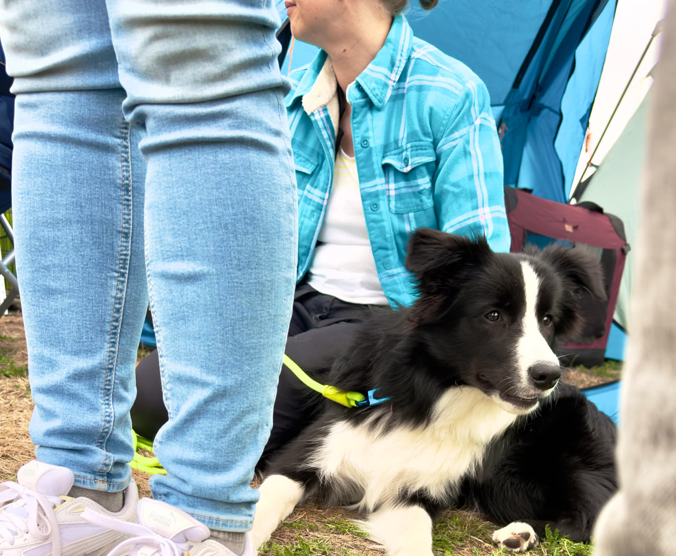 Eine Person sitzt auf dem Boden neben einem schwarz-weißen Hund, umgeben von anderen Personen und einem blauen Zelt.