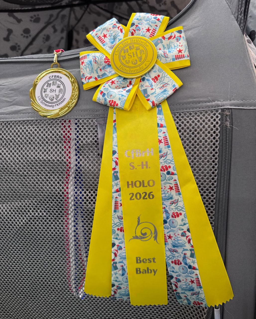 Gelbe Schleife mit Aufschrift "S.B. Holo 2023 Best Baby" und Medaille an einem grauen Netz befestigt.